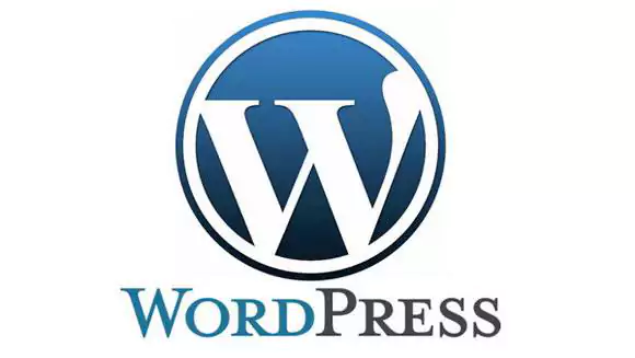 WordPress Theme Design and Customization
