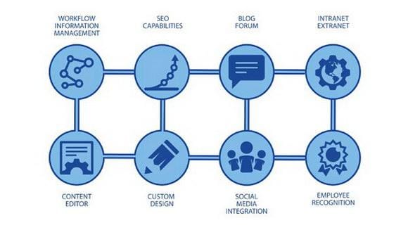 website with content management system designer website with content management system designer